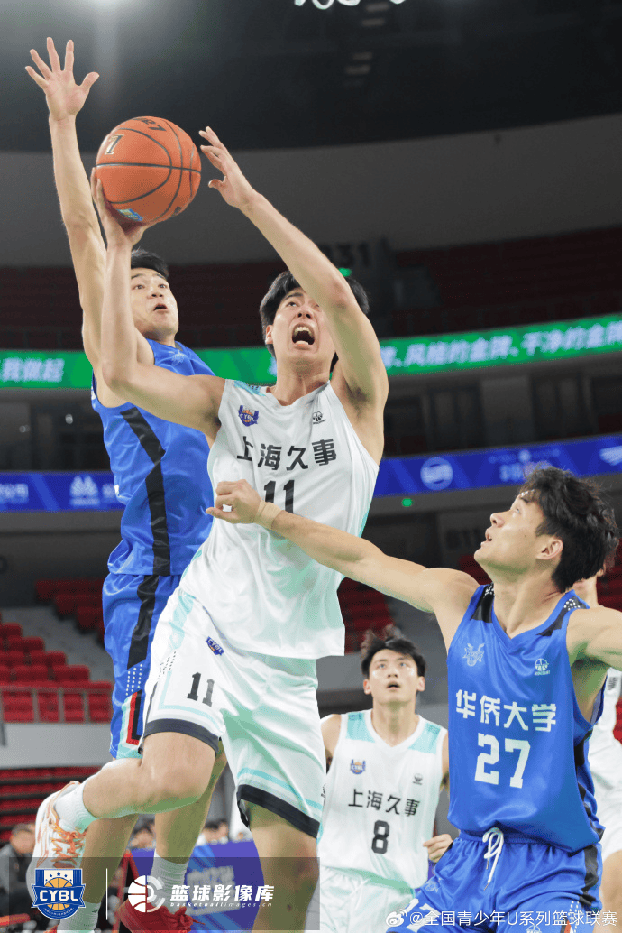 msn, msn, entit msn, msn, entit